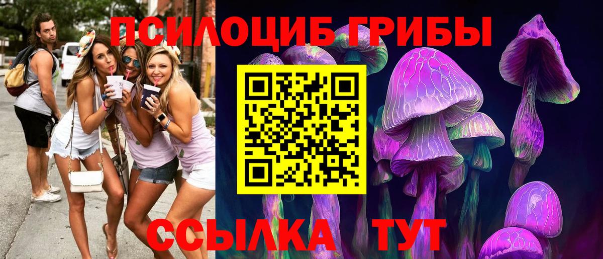 Галлюциногенные грибы Magic Shrooms  даркнет сайт  Вход с VPN  Химки  Псилоцибиновые грибы Psilocybine cubensis 
