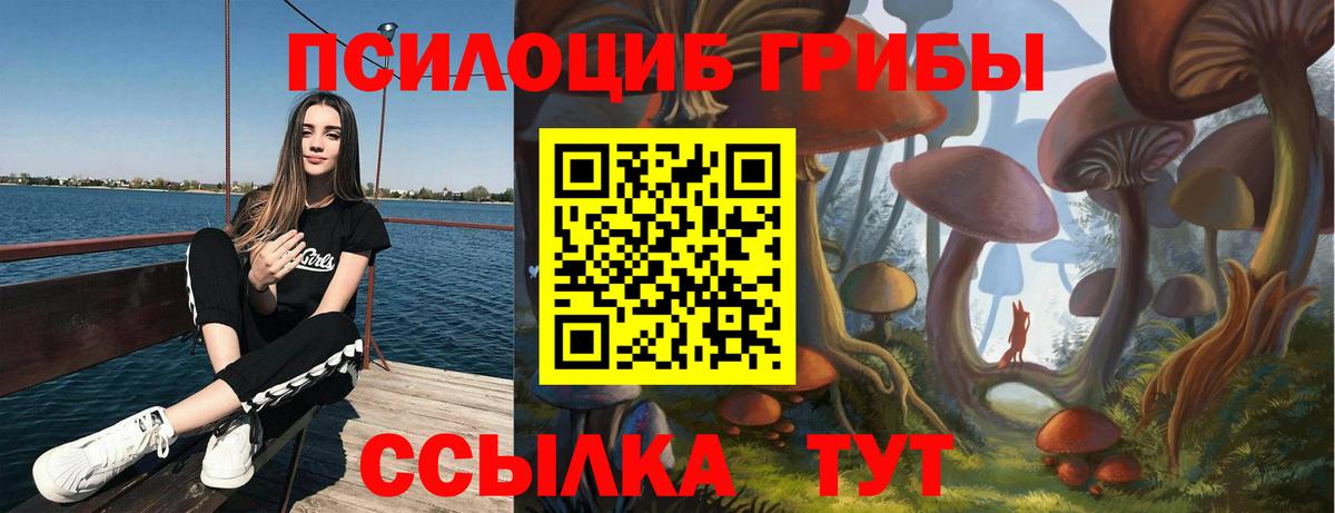 Галлюциногенные грибы Psilocybe Химки